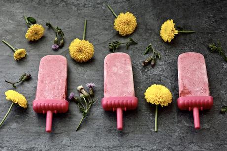 Raspberry Coconut Popsicles (Paleo, Vegan, Whole 30, AIP, Low FODMAP, GAPS, SCD)