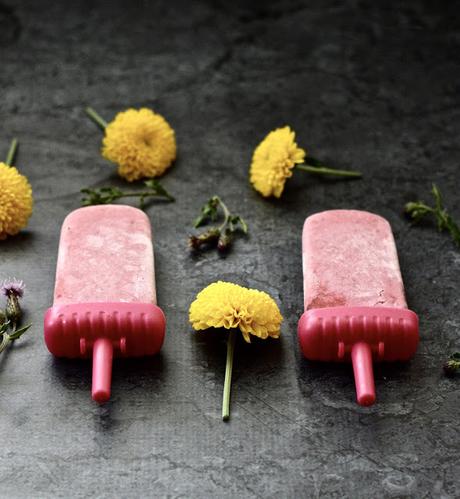 Raspberry Coconut Popsicles (Paleo, Vegan, Whole 30, AIP, Low FODMAP, GAPS, SCD)