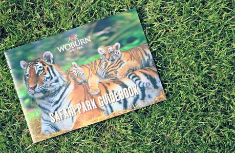 Our Family Day Out at Woburn Safari Park