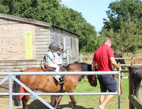Devon Days Out: Pennywell Farm