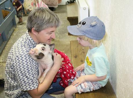 Devon Days Out: Pennywell Farm