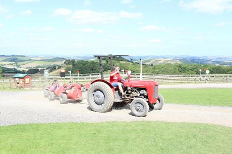 Devon Days Out: Pennywell Farm