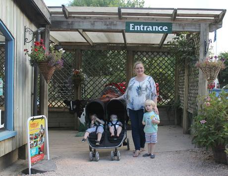 Devon Days Out: Pennywell Farm