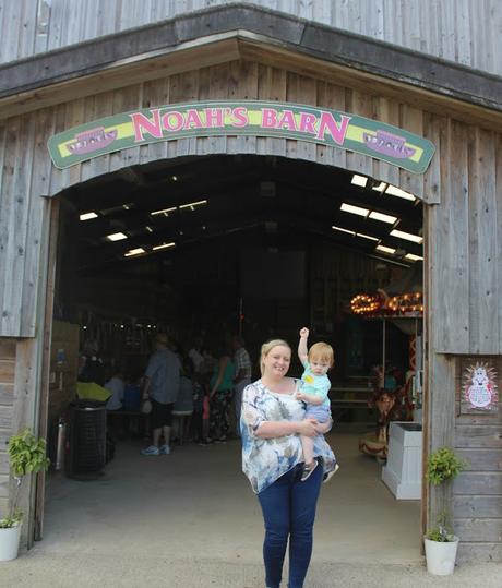 Devon Days Out: Pennywell Farm