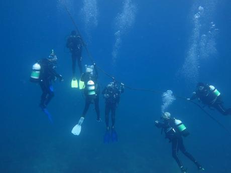 scuba diving with Turtle Bay Dive Centre and Water Sports Watamu