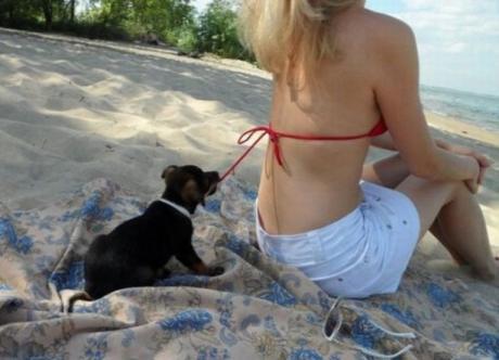 Naughty Beach Dog