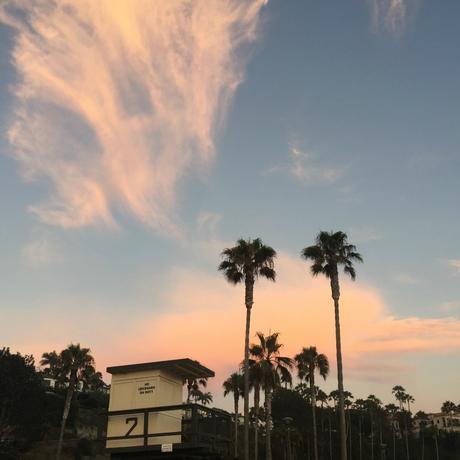 Sunset  Beach Picnics