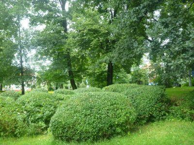 Backpacking in Kaliningrad: Top 25 Sights in Kaliningrad City Kutuzova Street District