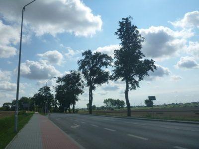 Backpacking in Poland: Exploring Peaceful, Pleasant, Holy Pelplin The road out of Pelplin