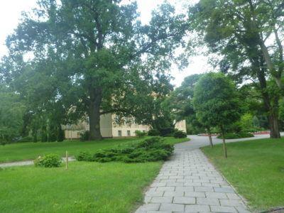 Backpacking in Poland: Exploring Peaceful, Pleasant, Holy Pelplin Gardens and Bishop's Palace