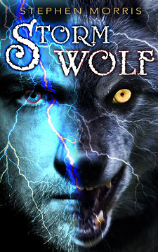 Storm Wolf by Stephen Morris @JGBookSolutions @StephenNYC1