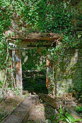 Ruins in the woods