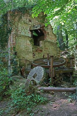 Ruins in the woods