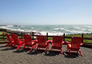 Bring a glass of wine from the tasting room  and choose a chair.