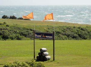 The sign, the flags, and the view entice you  to the tasting room.