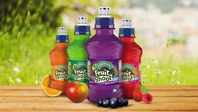 A Must-Have for Your Child’s Lunch Bag: Fruit Shoot!
