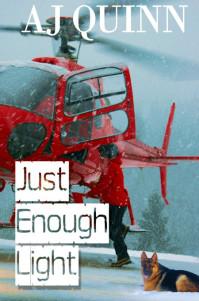 JJ Taylor reviews Just Enough Light by AJ Quinn