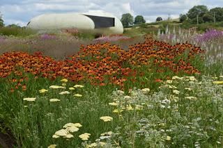 The Piet Oudolf Meadow at Hauser and Wirth, Somerset