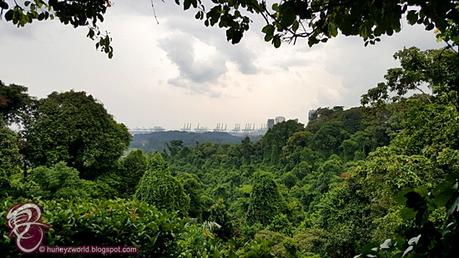 Let's Lepak at Mount Faber !!!