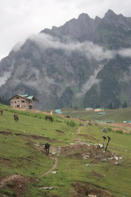 Taken in July of 2016 in Sonamarg