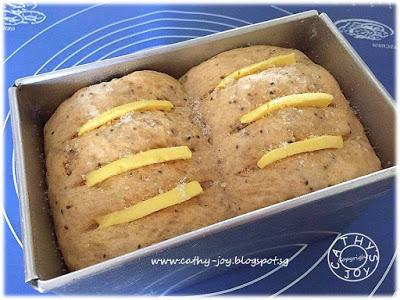 Wholemeal Bread ~ 17hrs Pre-fermented Sponge Dough