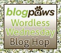 Turn That Frown Upside Down #WordlessWednesday