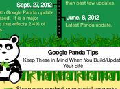 Google Panda Infographic