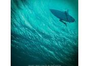 Shallows (2016) Review