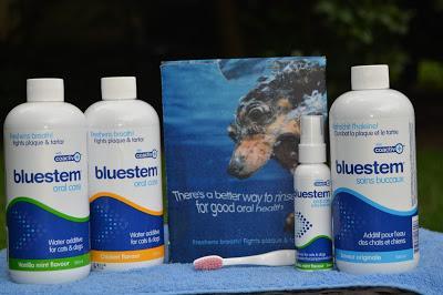 #BadBreath blues: Keira tries easy #dog #dental care with #bluestempets products