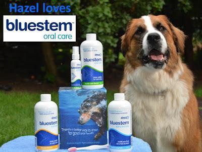 #BadBreath blues: Keira tries easy #dog #dental care with #bluestempets products