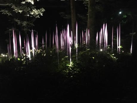 Last night at the Atlanta Botanic Garden was truly beautiful....