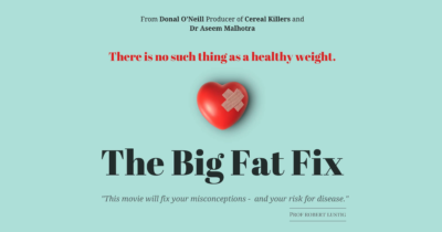 “The Big Fat Fix” Movie Review