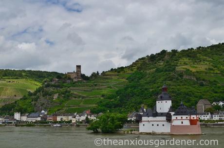 Cycling along the Rhine (7)