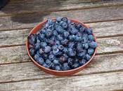 Harvest Monday August 2016