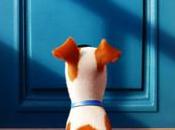 Secret Life Pets (2016): Kisah Rahasia Hewan Peliharaan Yang Kurang