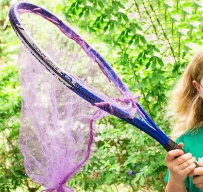 Sports Racket Transformed Into a Butterfly Net