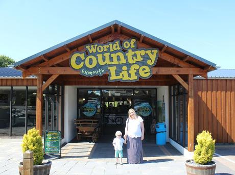 Devon Days Out: World Of Country Life
