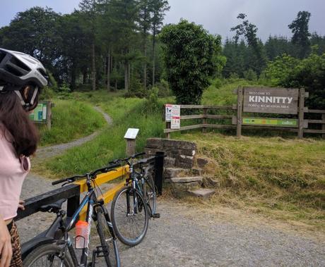 kinnity_forest_slieve_bloom