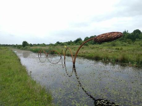 lough_boora_discovery_park_offaly