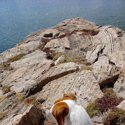 Stromatolite Pilgrimage