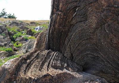 Stromatolite Pilgrimage