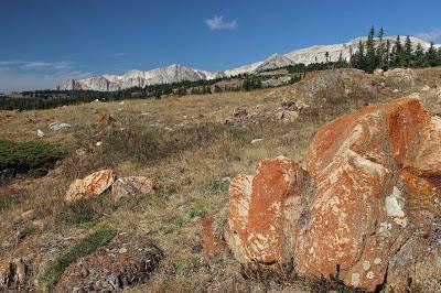 Stromatolite Pilgrimage