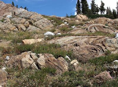 Stromatolite Pilgrimage