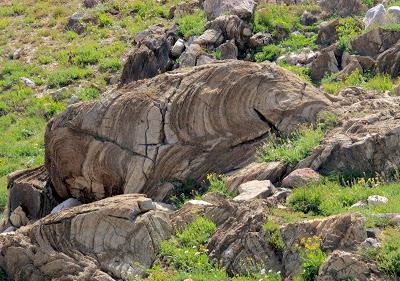 Stromatolite Pilgrimage