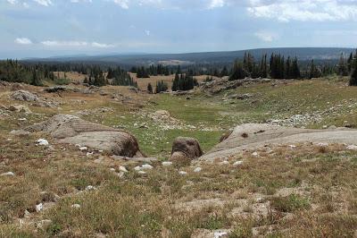 Stromatolite Pilgrimage