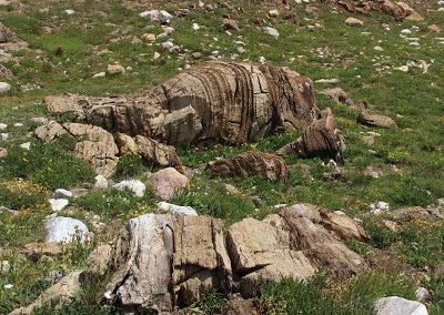 Stromatolite Pilgrimage