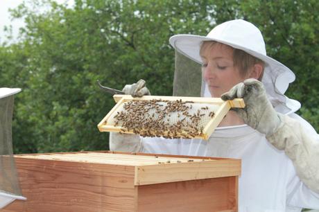 Jo Hemesley - Beekeeper