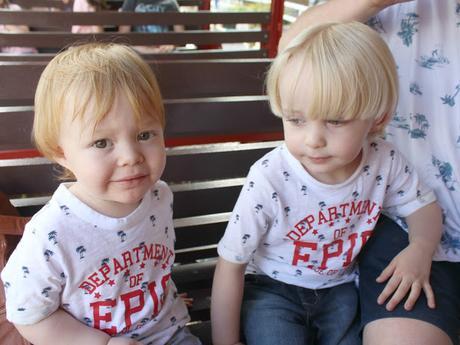 Devon Days Out: Devon Railway Centre