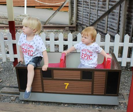 Devon Days Out: Devon Railway Centre