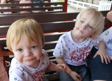 Devon Days Out: Devon Railway Centre